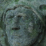 Plants: image 1 0f 4 thumb